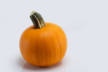 Close up shot of a pumpkin on a white background.