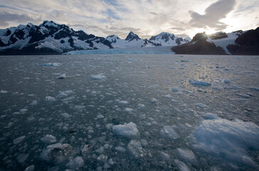 Icebergs and Glacier, South Georgia Island, Antarctica