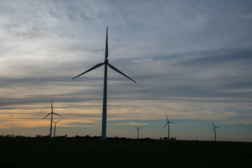 Obraz premium Sunset behind a field of wind turbines