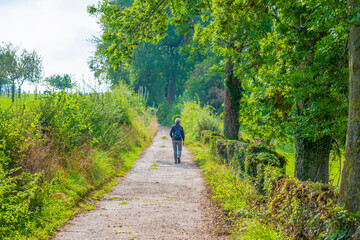 Fields and trees in a green hilly grassy landscape under a blue sky in sunlight at fall, Voeren, Limburg, Belgium, September 11, 2020