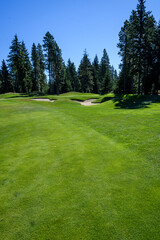 Fototapeta premium Golf course fairway, sand traps, and green, with evergreen trees and sky in background 