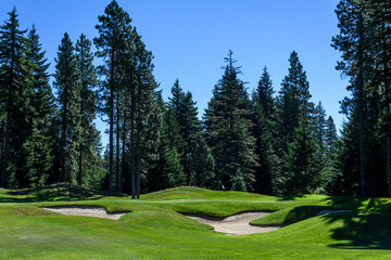 Fototapeta na wymiar Golf course fairway, sand traps, and green, with evergreen trees and sky in background 
