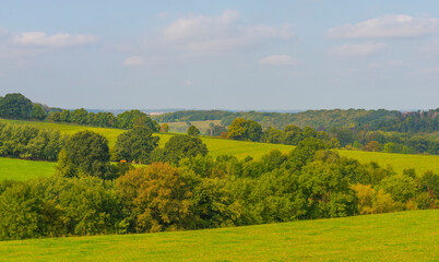 Fields and trees in a green hilly grassy landscape under a blue sky in sunlight at fall, Voeren, Limburg, Belgium, September 11, 2020