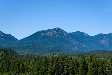 Obraz premium Panoramic view of evergreen trees, mountains, and blue sky, as a nature background 