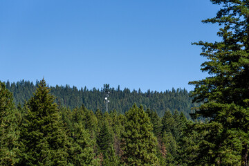 
Telecommunications tower and antennas camouflaged in the forest, blue sky background
