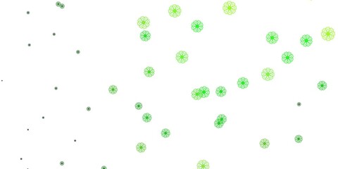 Light Green, Yellow vector doodle background with flowers.