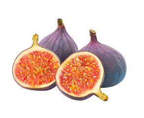 Fresh figs isolated on white background