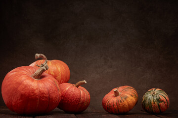 Thanksgiving background. Autumn harvest