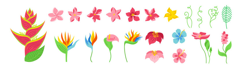 Exotic flowers cartoon set. Tropical botanical bright floral flat plants. Wild flowers collection. Hawaiian hand drawn color jungle. Plumeria, heliconia and strelitzia. Vector illustration