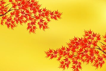  紅葉　もみじ　秋　 背景