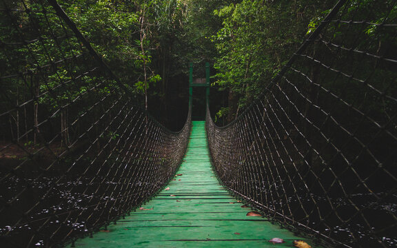 Fototapeta Amazon Bridge 