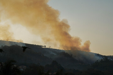 Fototapeta premium Forest fire disaster in Monte Alegre do Sul, Sao Paulo, Brazil. 5 September 2020