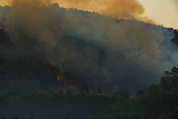 Forest fire disaster in Monte Alegre do Sul, Sao Paulo, Brazil. 5 September 2020