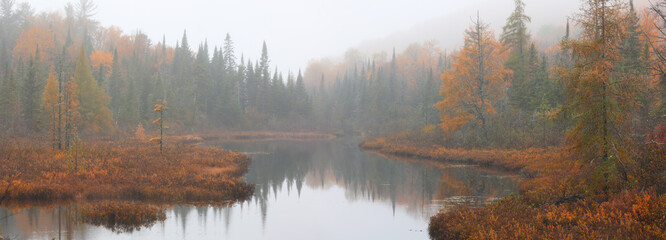 Panoramic view of colorful trees with misty landscape during autumn time 