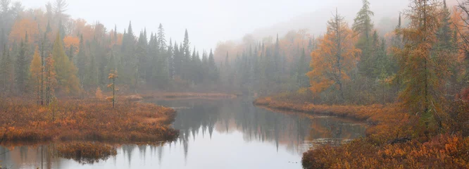 Foto op Canvas Panoramic view of colorful trees with misty landscape during autumn time  © SNEHIT PHOTO