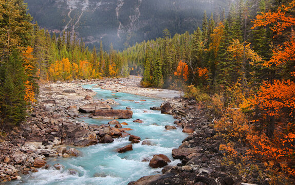 Boulders and rocks in fresh water stream at rural British Columbia in autumn time
