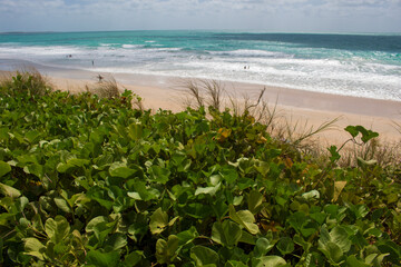 Waves rolling in as the tide ebbs out on a late morning in the Indian Ocean at Cable Beach, Broome...