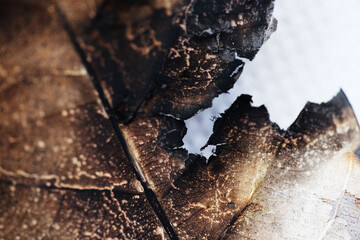 Macro of burn dried leaf