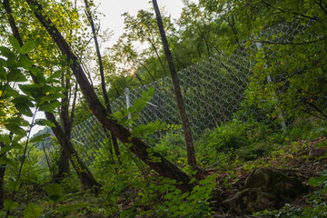Rock protection nets in a forest in Eppan in South Tyrol, Italy