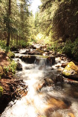 time delay of a mountain river in the forest