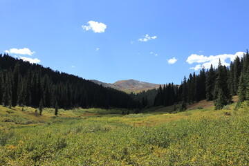 High alpine meadow in the Colorado Rocky Mountains
