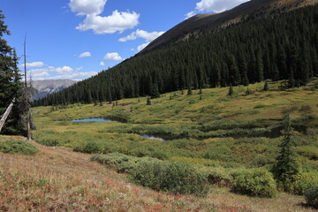 Beaver ponds in the valley overlooked by a mountainside forest