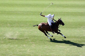 polo player