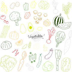 いろんな野菜の手描きイラストアイコン【白背景】vegetables line illustration vector icon【white background】