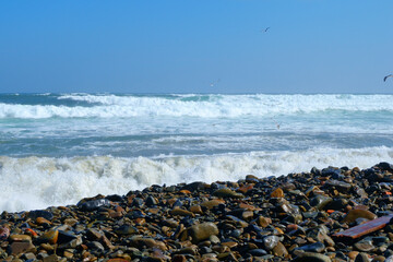 Storm waves on the coast of the sea of Japan.