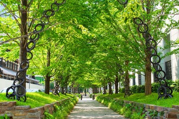 植栽で美しく整備された市街地の歩道