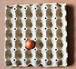 an egg in tray alone