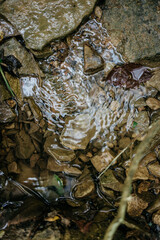 Water ripples over rocks