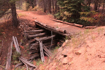 Old abandoned wooden bridge in the forest