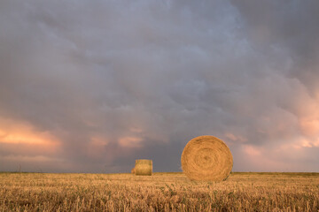 Round bales in wide open farm field