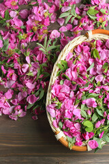aromatic pink rose flowers for drying lie on a dark wooden table. close-up, top view.