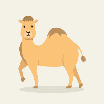 Angry camel mascot logo design illustration