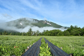 夏の広大な自然風景