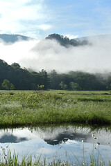 初夏の森の中で池に反射する山の風景