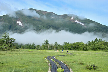 尾瀬ヶ原のハイキング道