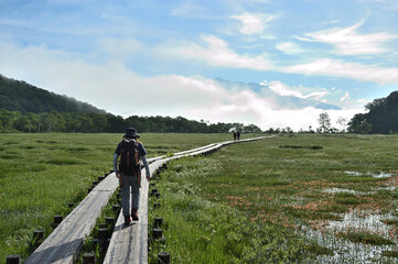 夏にハイキングする女性の後ろ姿
