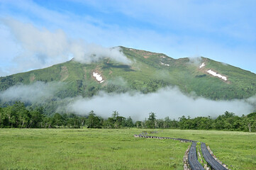 夏の草原と山と空の風景