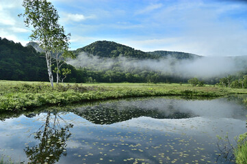 池に反射する自然風景