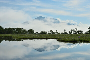 初夏の水面に反射する山の風景