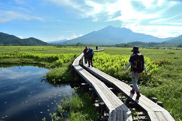 初夏の森の中で道を歩く女性