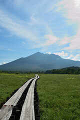 初夏の山へ続く道