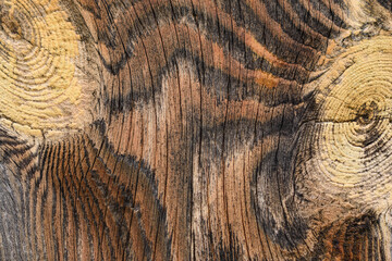 Wooden surface for the backdrop. Textured plank with wood grain and knots. Colors are yellow, brown and gray.