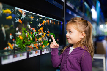 Portrait of interested cute 6 year old girl looking at colorful tropical fish in aquariums in pet shop