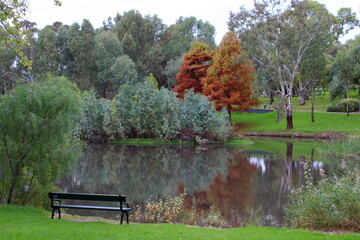 bench in autumn in linear park trail, adelaide