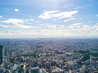 Obraz premium 【東京都】街並み・渋谷スカイより