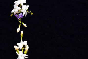 white flower jasmine and purple flowers local flora of asia in spring season arrangement  flat lay postcard style on background black